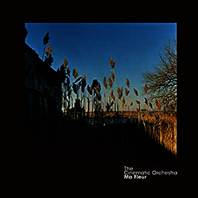 Cinematic Orchestra — Ma Fleur (Gatefold) 앨범 커버