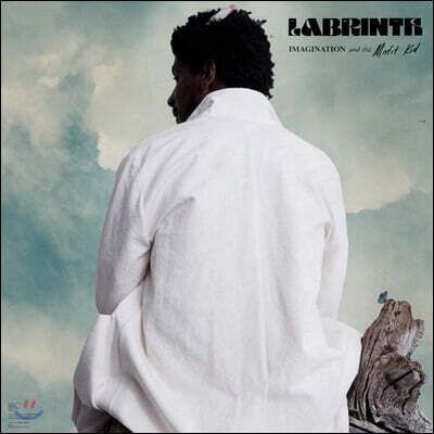 Labrinth — Imagination & The Misfit Kid 앨범 커버
