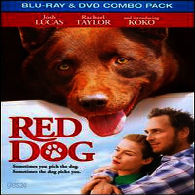 Red Dog (레드독) (한글무자막)(Blu-ray+DVD Combo)