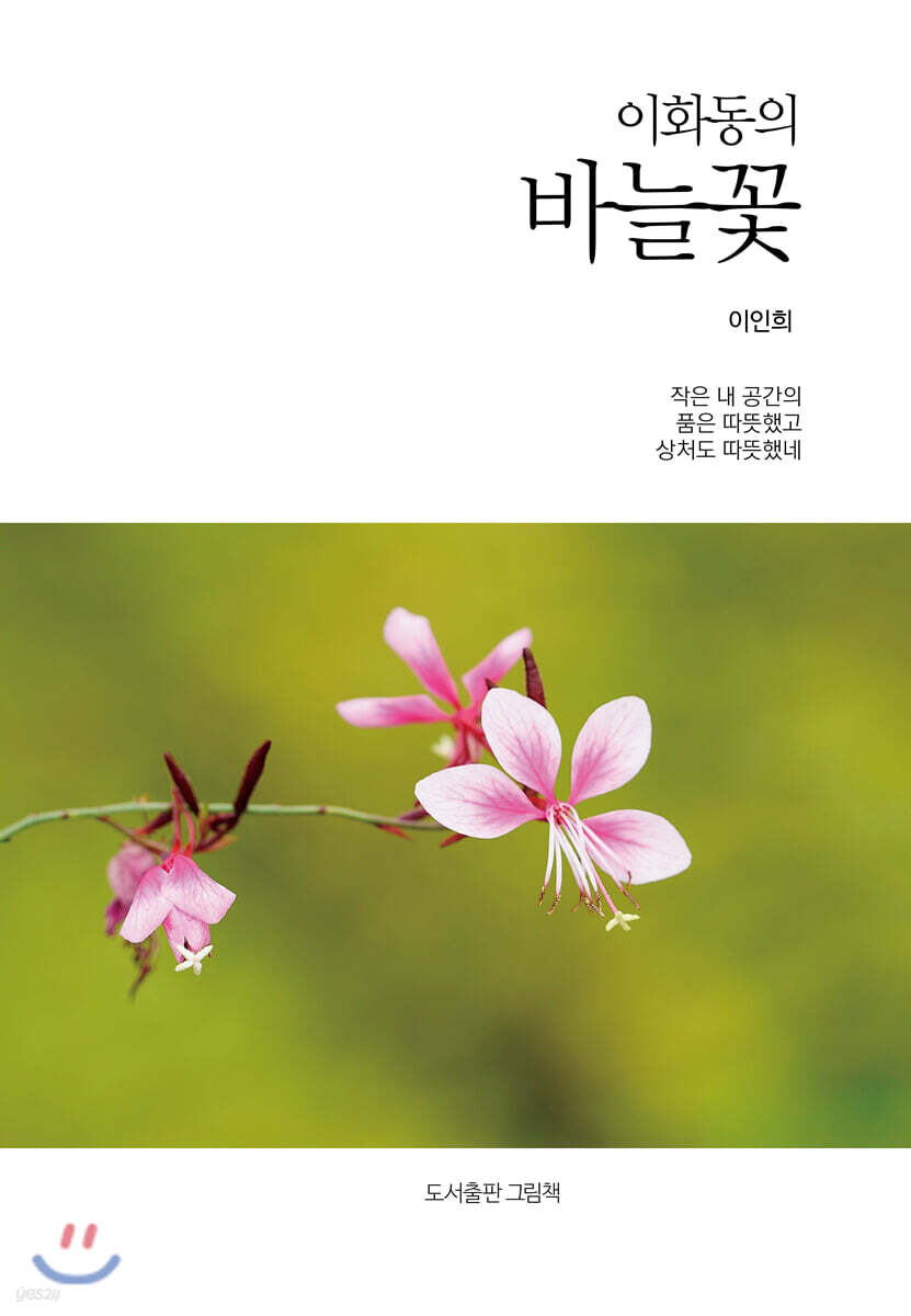이화동의 바늘꽃