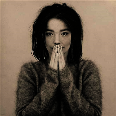 Bjork — Debut 앨범 커버