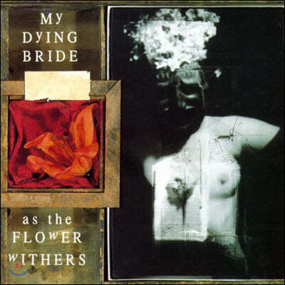 My Dying Bride (  ̵) - As The Flower Withers