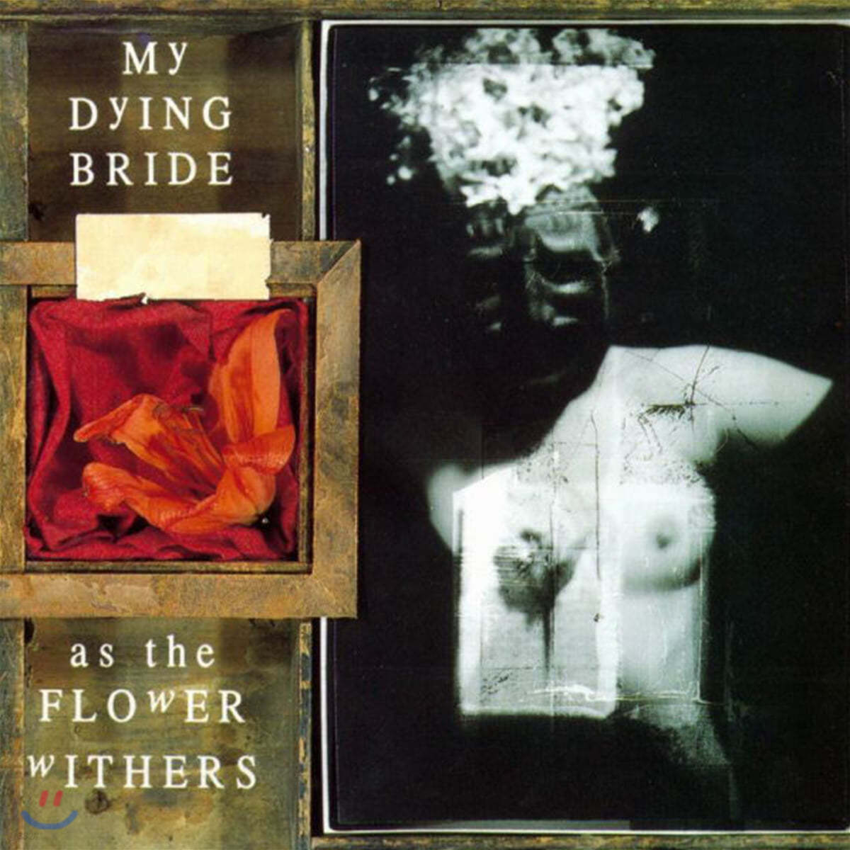 My Dying Bride (마이 다잉 브라이드) - As The Flower Withers