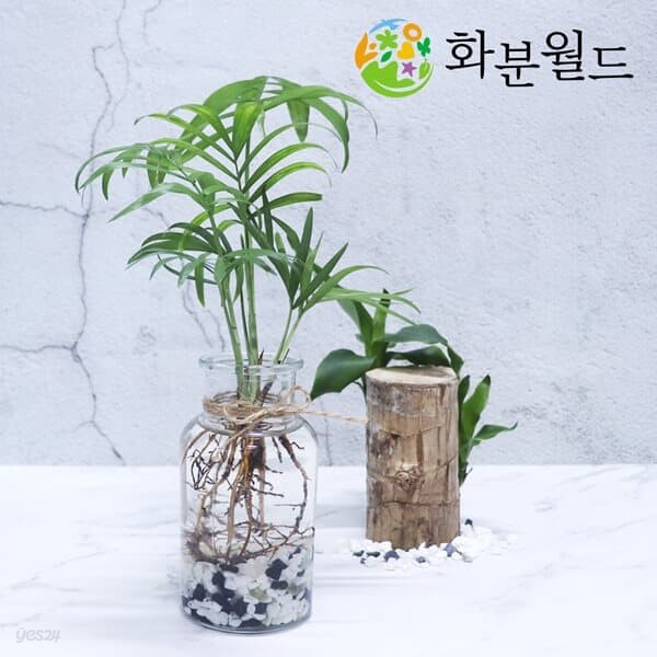 오색돌/삼색돌/원석모음 (대포장)  정원자갈 주차장자갈 화분돌