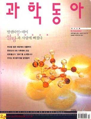 과학동아 2006년-2월 (신246-5)