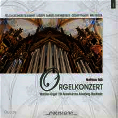 19세기 낭만 오르간 작품집 - 성 안나 성당의 오르간 (19 Century Romatic Works for Organ - Walcker-Orgel St. Annenkirche Annaberg-Buchholz) (Digipack)(CD) - Matthias Suess