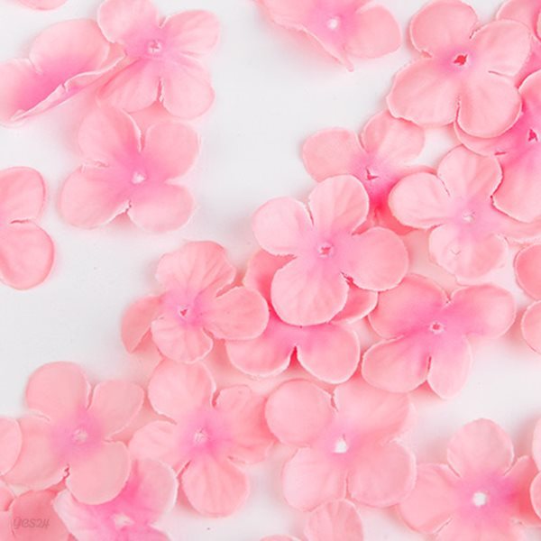 꽃길만 걷자 핑크 꽃잎