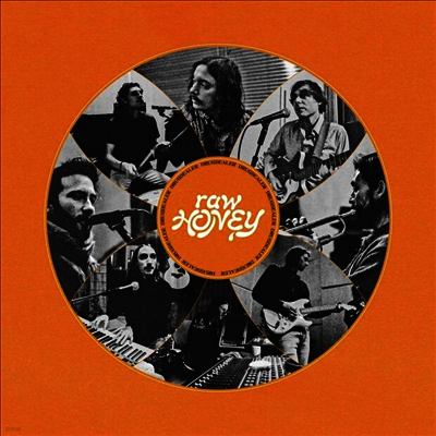 Drugdealer — Raw Honey 앨범 커버