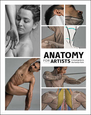 Anatomy for Artists: A Visual Guide to the Human Form