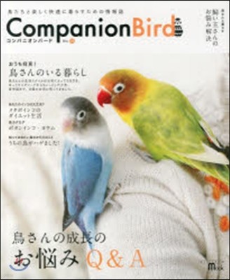 Companion Bird  19