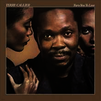 Terry Callier — Turn You To Love 앨범 커버