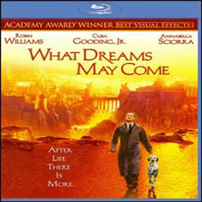 What Dreams May Come (õ Ƹٿ) (ѱ۹ڸ)(Blu-ray) (1998)