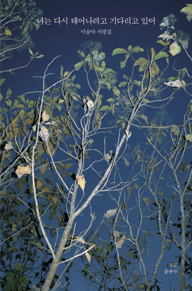 너는 다시 태어나려고 기다리고 있어 커버 이미지