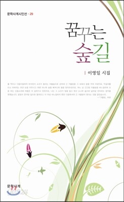 꿈꾸는 숲길