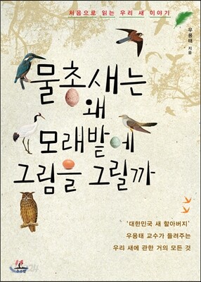 물총새는 왜 모래밭에 그림을 그릴까
