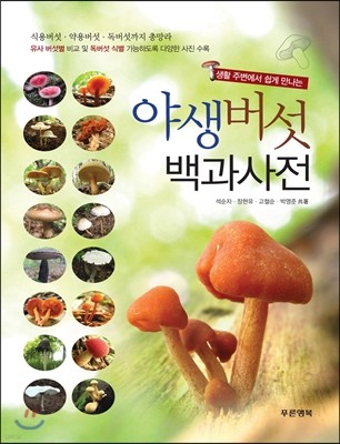 야생 버섯 백과사전