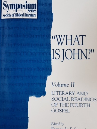 What is John? Vol. II : Literary and Social Readings of the Fourth Gospel 