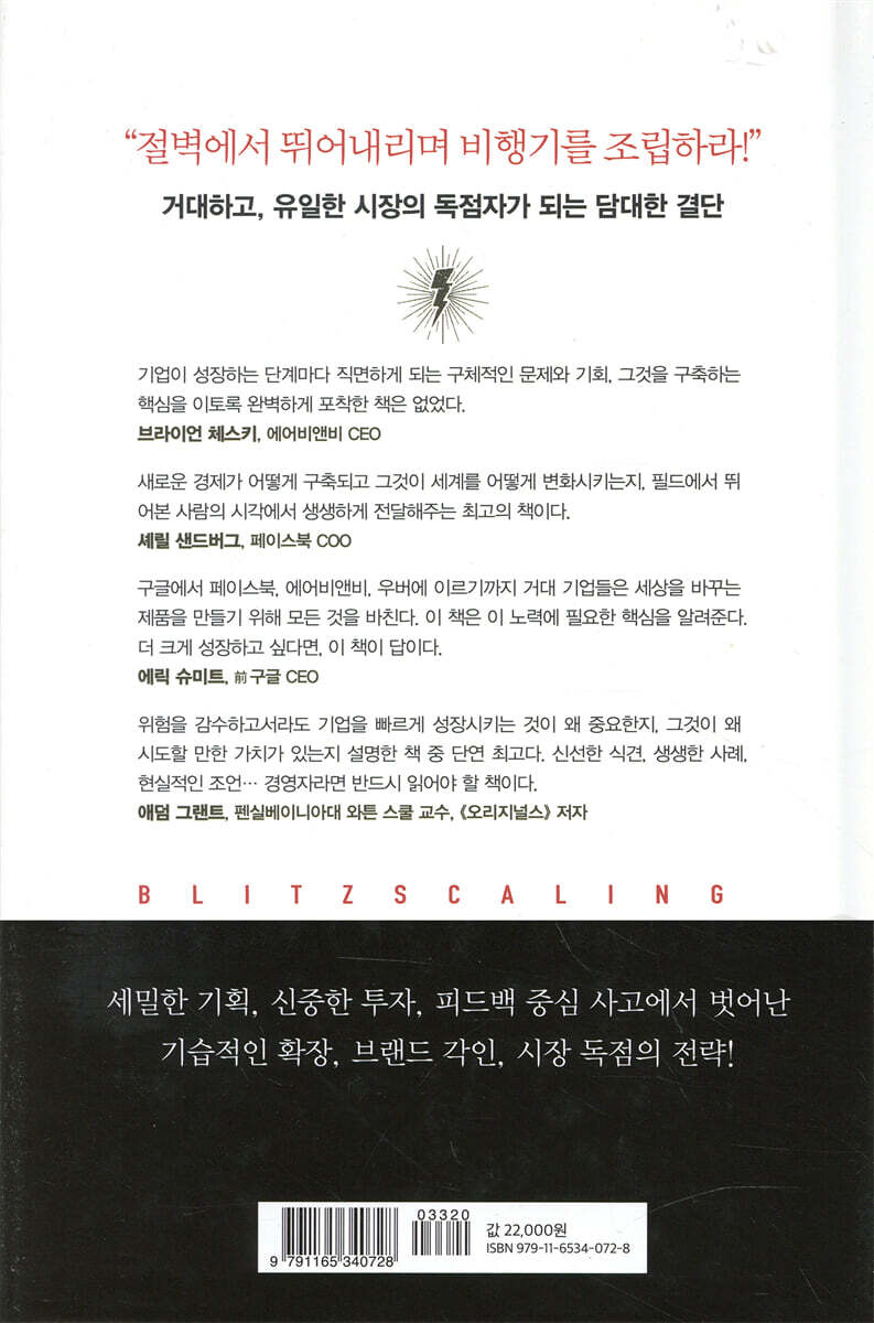 블리츠스케일링