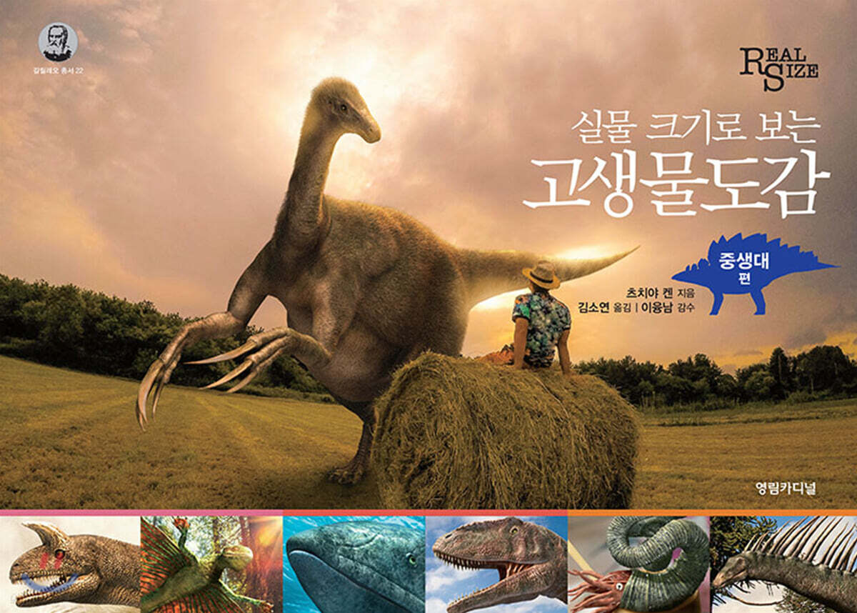 고생물도감 중생대 편