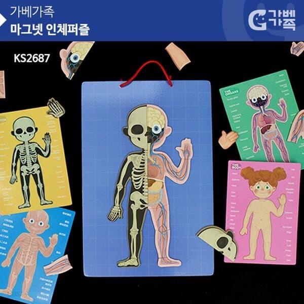 (가베가족) KS2687 마그넷 인체퍼즐