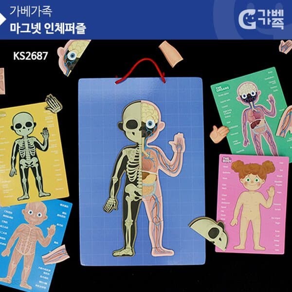 (가베가족) KS2687 마그넷 인체퍼즐