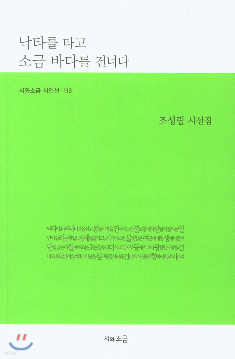 낙타를 타고 소금 바다를 건너다