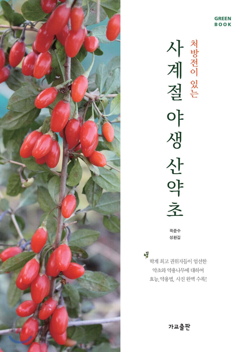사계절 야생 산약초