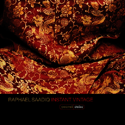 Raphael Saadiq — Instant Vintage (Gatefold) 앨범 커버