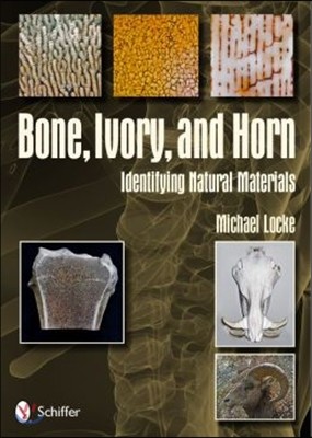 Bone, Ivory, and Horn