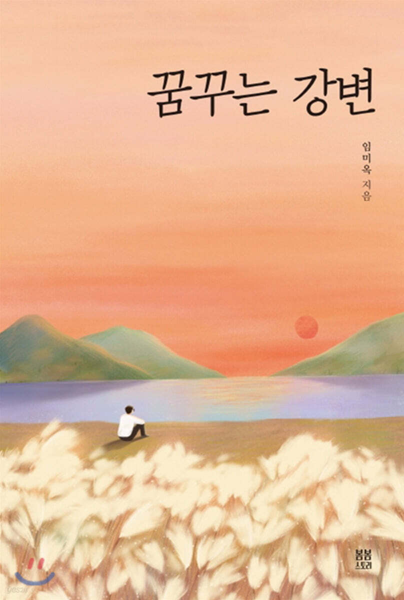 꿈꾸는 강변