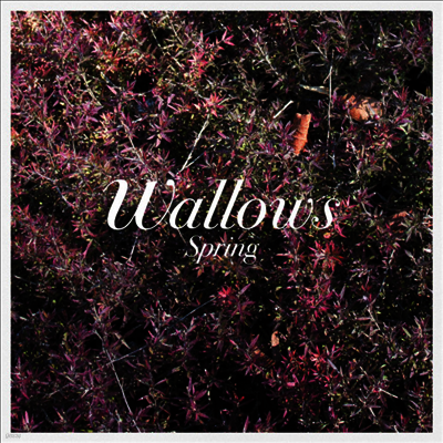Wallows — Spring 앨범 커버