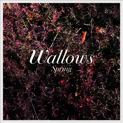 Wallows - Spring (Green & Pink LP)
