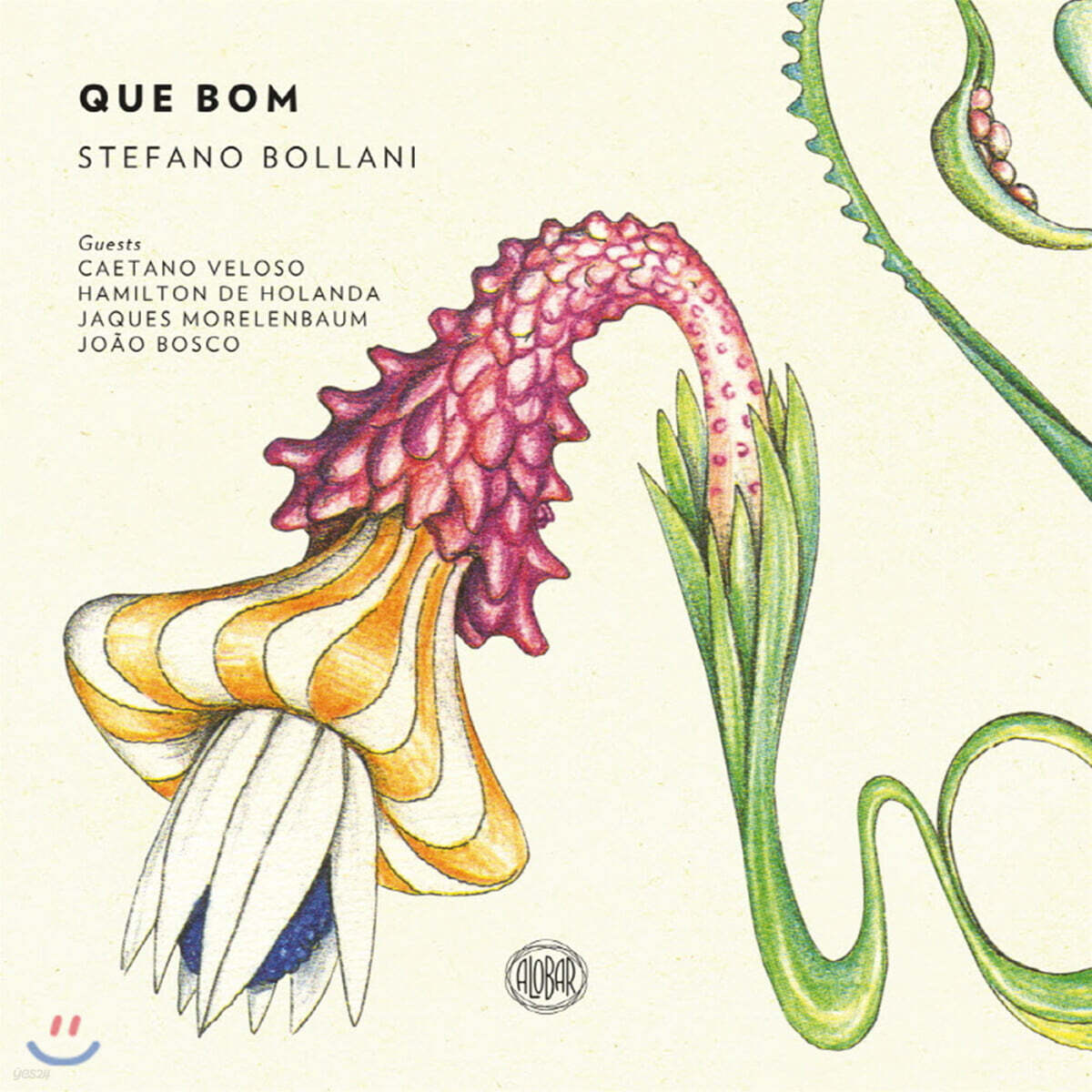 Stefano Bollani (스테파노 볼라니) - Que Bom 좋아요 [2LP]