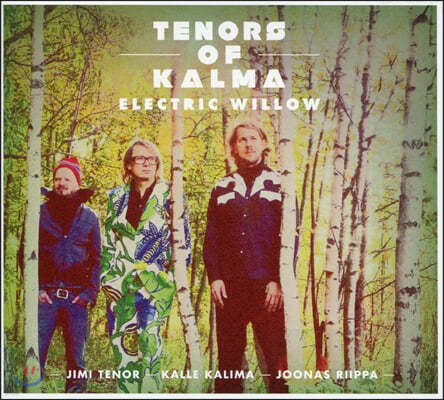 Tenors Of Kalma (׳ʽ  Į) - Electric Willow
