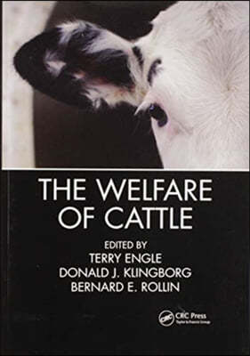 Welfare of Cattle