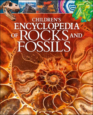 A Children's Encyclopedia of Rocks and Fossils