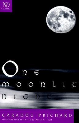 One Moonlit Night: Novel