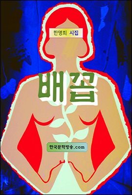 배꼽