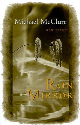 Rain Mirror: Poems