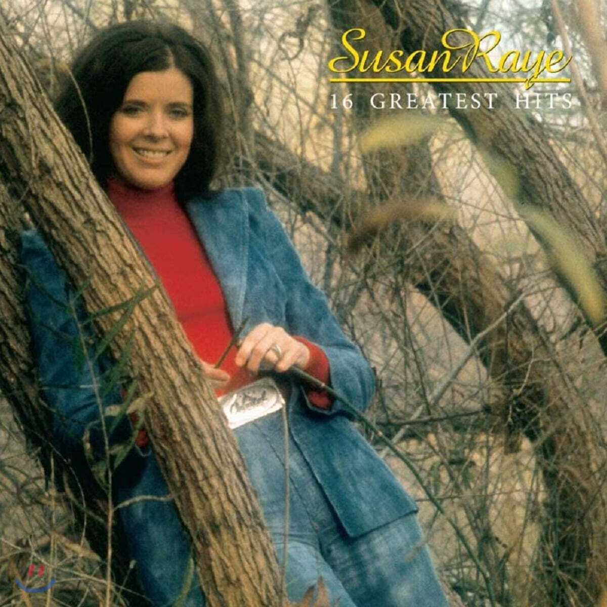 Susan Raye (수잔 레이) - 16 Greatest Hits [LP]