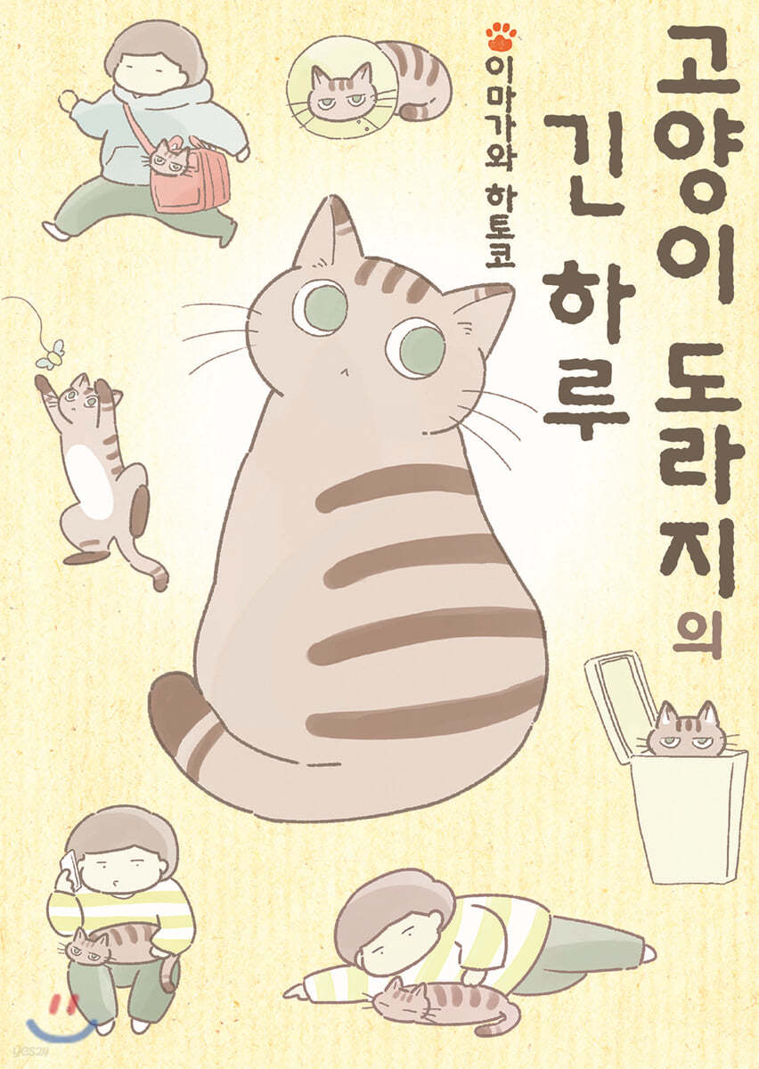 고양이 도라지의 긴 하루