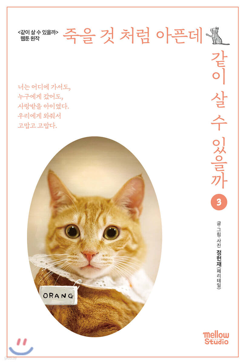 죽을 것 처럼 아픈데 같이 살 수 있을까 3