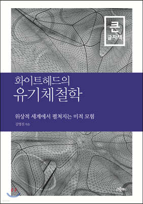 화이트헤드의 유기체철학 (큰글자책)