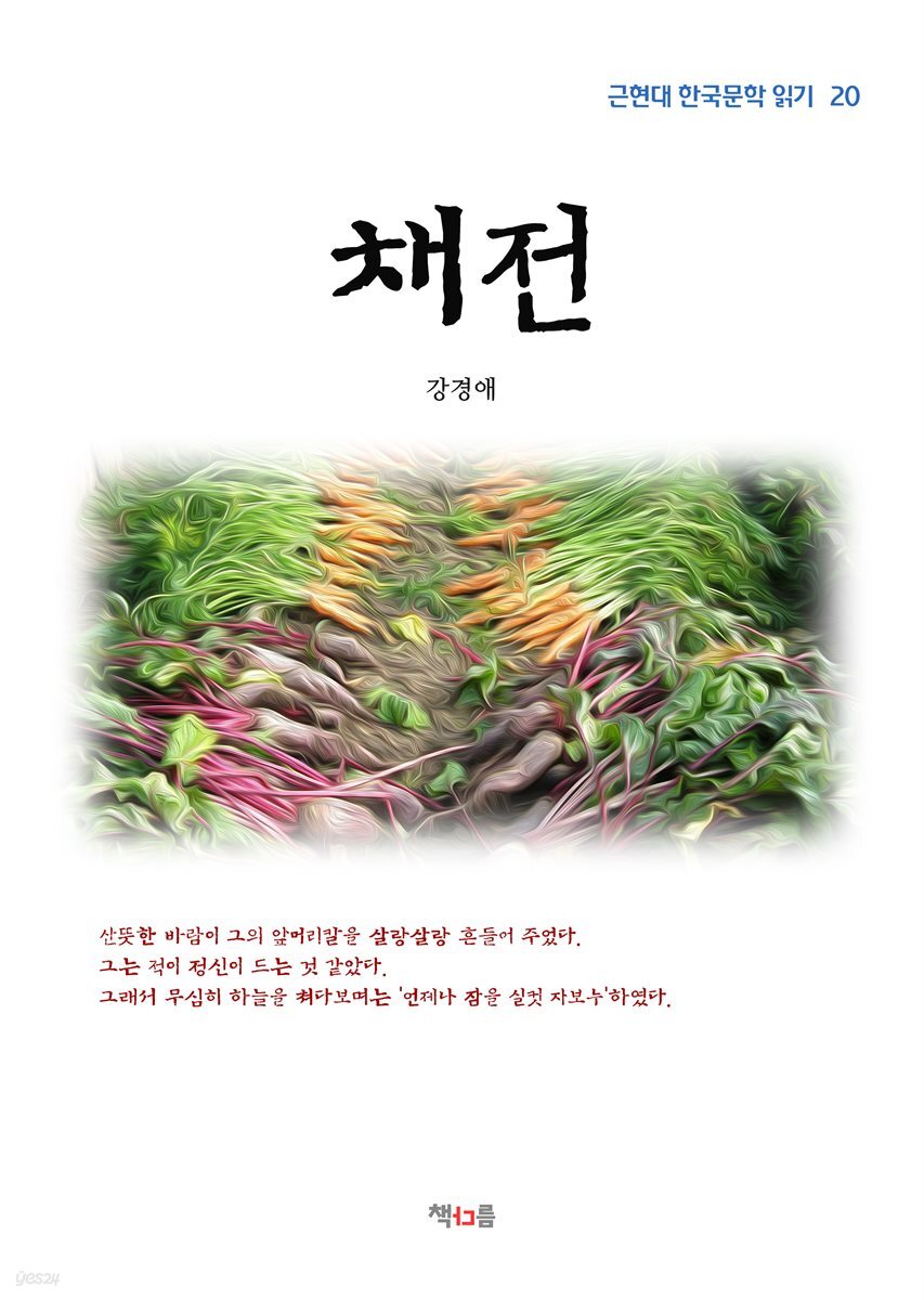 강경애 채전 (근현대 한국문학 읽기 20)