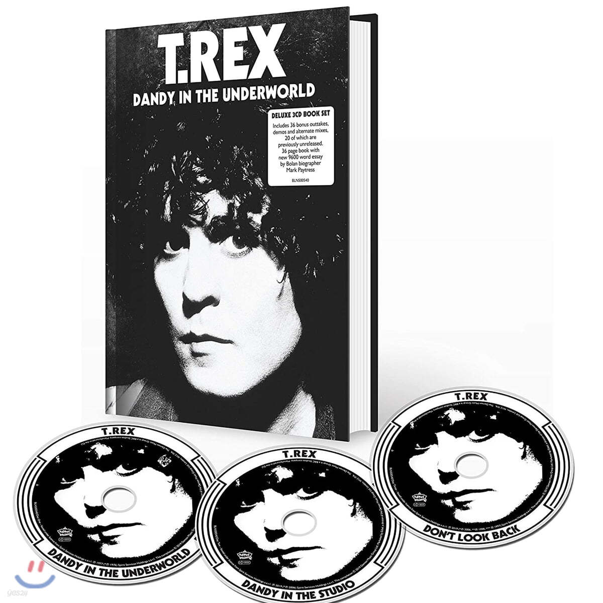 T. Rex (티렉스) - Dandy In The Underworld