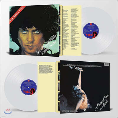 T. Rex — Zinc Alloy and the Hidden Riders of Tomorrow 앨범 커버