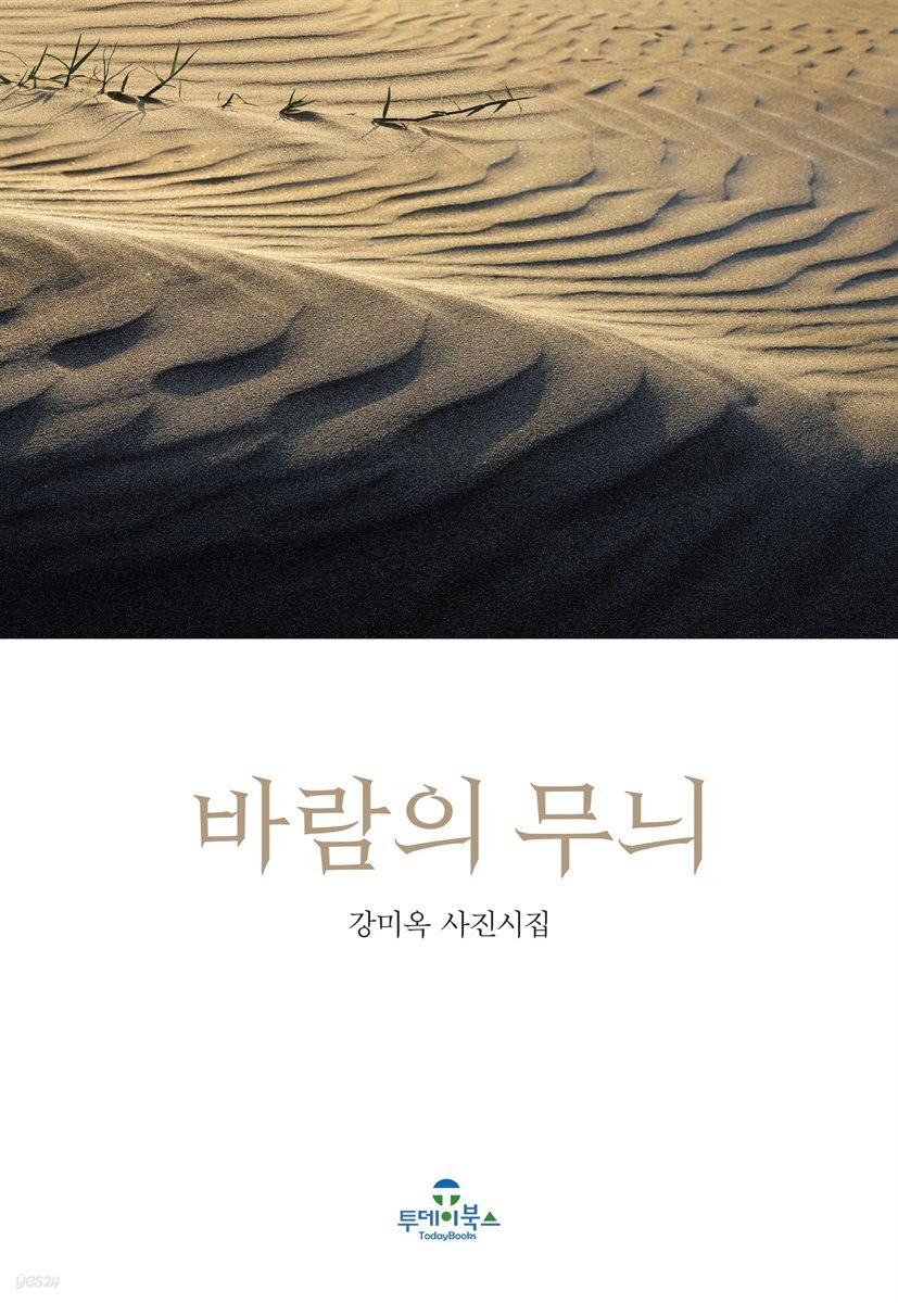 바람의 무늬