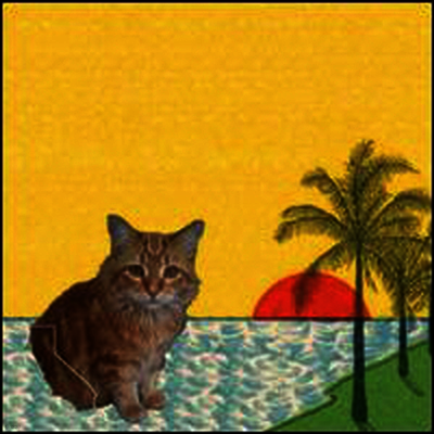 Best Coast — Crazy For You 앨범 커버