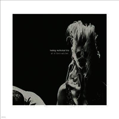 Hedvig Mollestad Trio — All Of Them Witches 앨범 커버