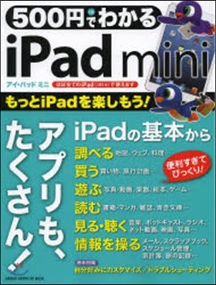 500Ǫ磌iPad mini